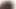 Siyah kedi büyük beyaz horoz basınç altında osuruk