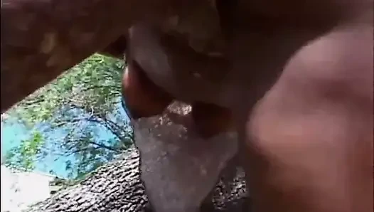 Black and white sexy black pussy fucking in the garden