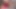Carmen Angel'ın kırmızı ateşli seksi ninesi yarak emiyor, dildoyla oynuyor ve dölleme için sikişiyor 102725cams1245m