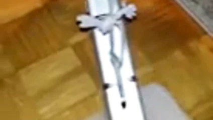 Schwanz mit Koffer trainieren!