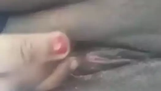 Büyük siyah horoz sağladım