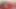 2600tec - çoraplı ve yüksek topuklu saten kıyafet giyen Fransız amatör, sikişiyor, göt deliğini yalıyor, yarak emiyor