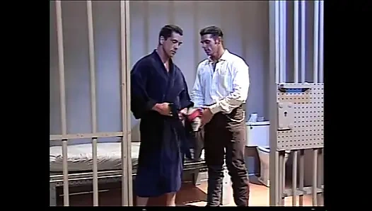 Yolun çılgın dili