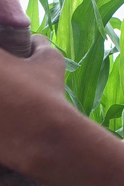 Dünya çapında viral desi hunk tek başına aksiyon bölüm 4 - premium yüzsüz amatör yakın çekim ham okşama seansı 4k