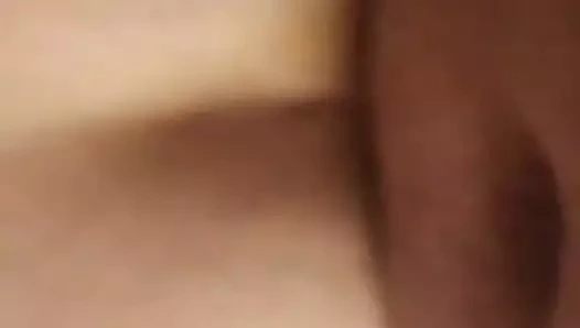 Şişman donna domaltmalı 2