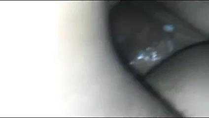 sua cachorrinha novo 2