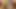 Desi Sex Bahu and Sasur Indian Porn Videos