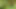Im Auto und Wald
