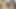 Busty latina Mastürbasyon ona sıcak kedi ve oyuncak üzerinde kam
