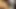 Seksi zenci genç kız küçük bir yarakla amcığını yalıyor