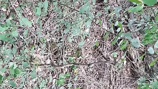 Ormanda sikişiyoruz, böylece kimse lezbiyen olduğumuzu bilmiyor