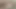 Slutty kolej kız kristine kay gets ona kedi dövülerek