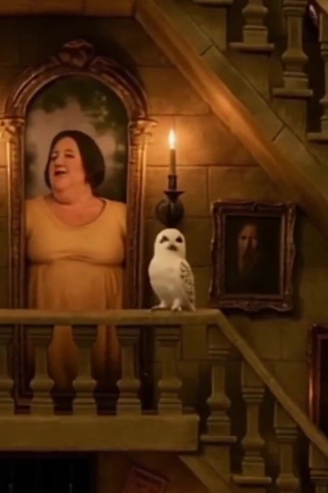 Spellbound - Kütüphane Arama