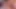 Private.com - susy gala ve anastasia breaklyn bir horoz paylaşıyor!