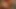Azgın süper model fotoğrafçının canavar yarağını istiyor - blacksonblondes