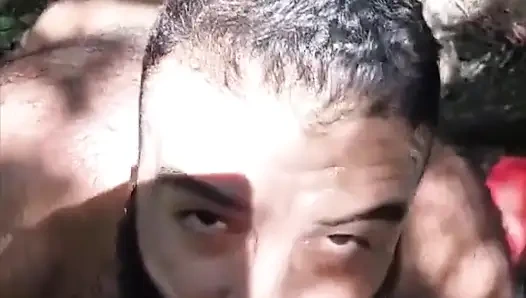 Beni sikiyor, vahşi doğada