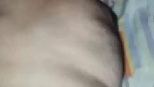 o ayı horoz seviyor