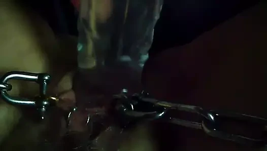 Zincirlerde Lupus luxus