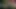 Kıvırcık saçlı güreş ringinde neon vücut boyası grup seks partisi