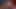 Babestation - orta yaşlı seksi kadın madison fox dev bir büyük zenci yarağı alıyor