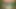 Man fucks woman with big cock in the forest, woman is very happy.