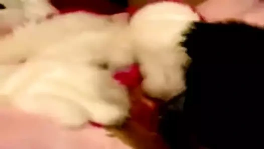 sevgililer günü gösteriş