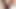 Kremsi kedi daha fazla horoz için çığlık atıyor - pov