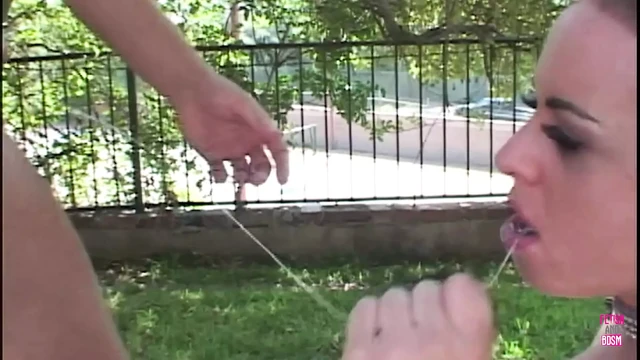 Хорошенькая брюнетка в Lingeire занимается горячим сексом на улице с красивым мужчиной с большим хуем