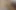 1 Guy Hard Creampied 2 Girls Proved 8 Inch Dick Size