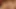 Seksi esmer götlü fahişe iki adam tarafından domalıyor ve sıkı götünden sikiliyor