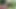 Olgun Kızlar Bahçede Birbirlerine Mastürbasyon Yapıyor Ve Birbirlerinin Vajinalarını Dildo Yapıyor