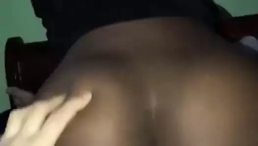 O siyah kediyi ileri geri hareket ettirmek