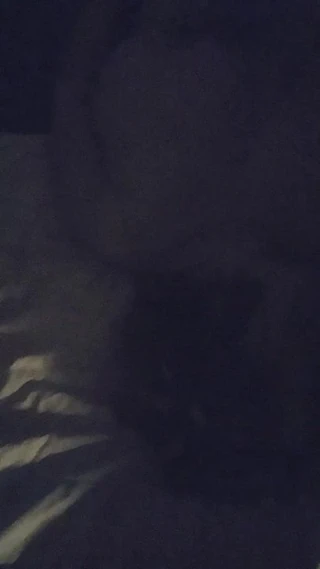 lanet üzerinde yüz