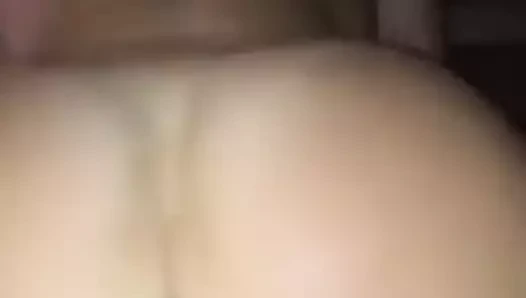 İnanılmaz sıkı kedi kavrama binicilik bbc