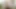 Bir yapay penis ve vibratör üzerinde otururken çalışmaya çalışmak - teaser - veggiebabyy- birçok videoda tam video!