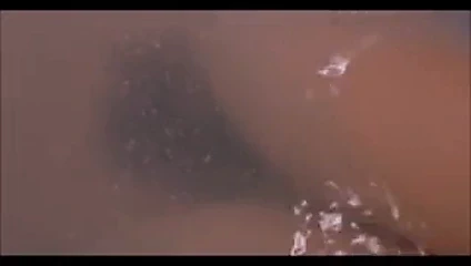 To Shine Together (Felipe Ricotta)