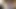 Büyük baştankara milf çalış ile tıraş kedi cam oyuncak ve vibe