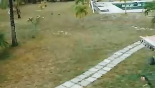 kahverengi kız günlüğü