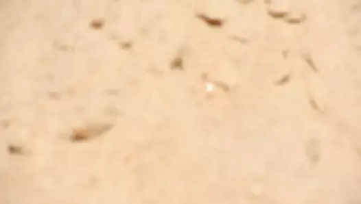 ma belle voisine de plage