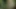 Yağlı grup seks sürtükler havuzda grup sekste genişliyor