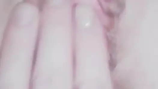 sosis matkaplar KEDİ yakın çekim