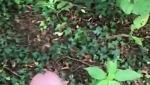 18 yaşındaki çocuk ormanda
