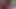 gfxvhcx