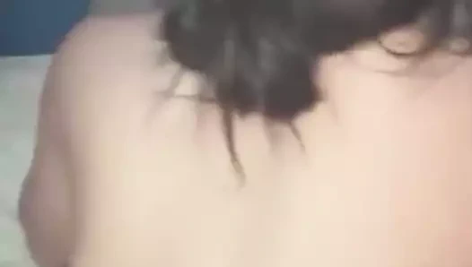 ırklararası köpek stili