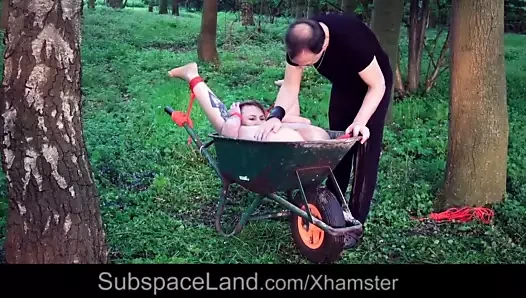 Genç köle almak bağlı yukarı ve becerdin içinde the bahçe