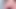 Amsterdam'daki en seksi Arap kız - büyük