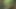 Fuck and Suck BIG Tits Stranger in Woods