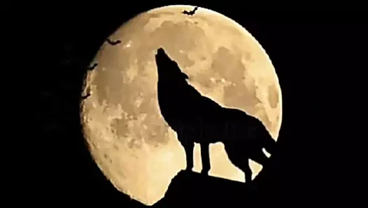 Sadece bir besleme olması gerekiyordu ama dayanamadım