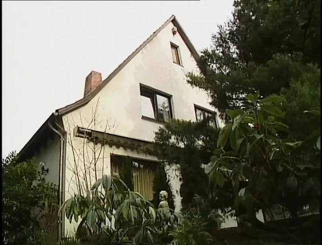 Frau wollen (tam film)