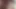 En iyi vahşi yaşam pornosu 18+ 2022
